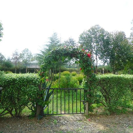Triple Eden Resort - נאיוואשה מראה חיצוני תמונה