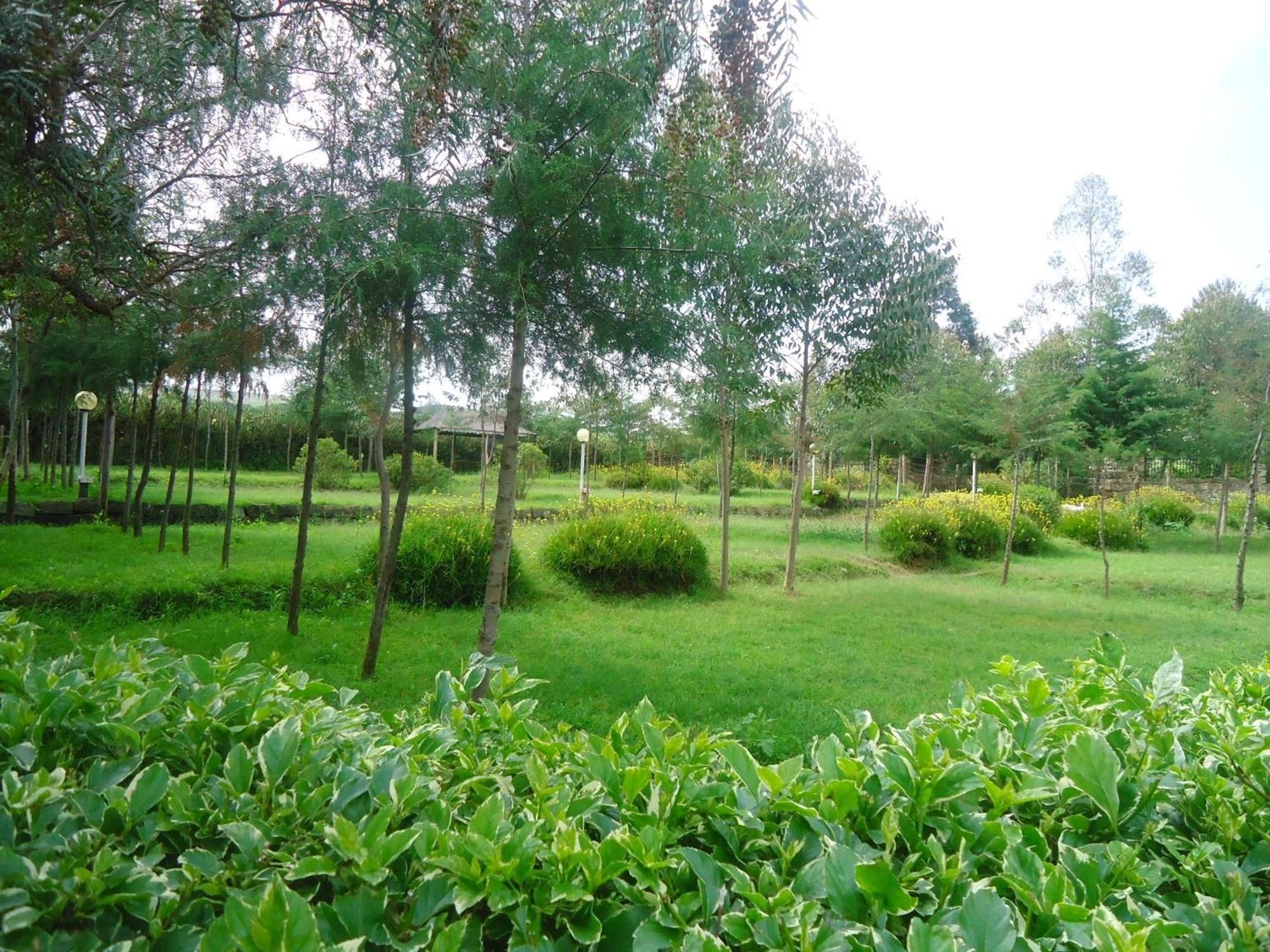 Triple Eden Resort - נאיוואשה מראה חיצוני תמונה